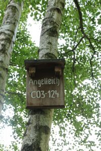 Hinweise zum Angeln in der Gemeinde Kolkwitz