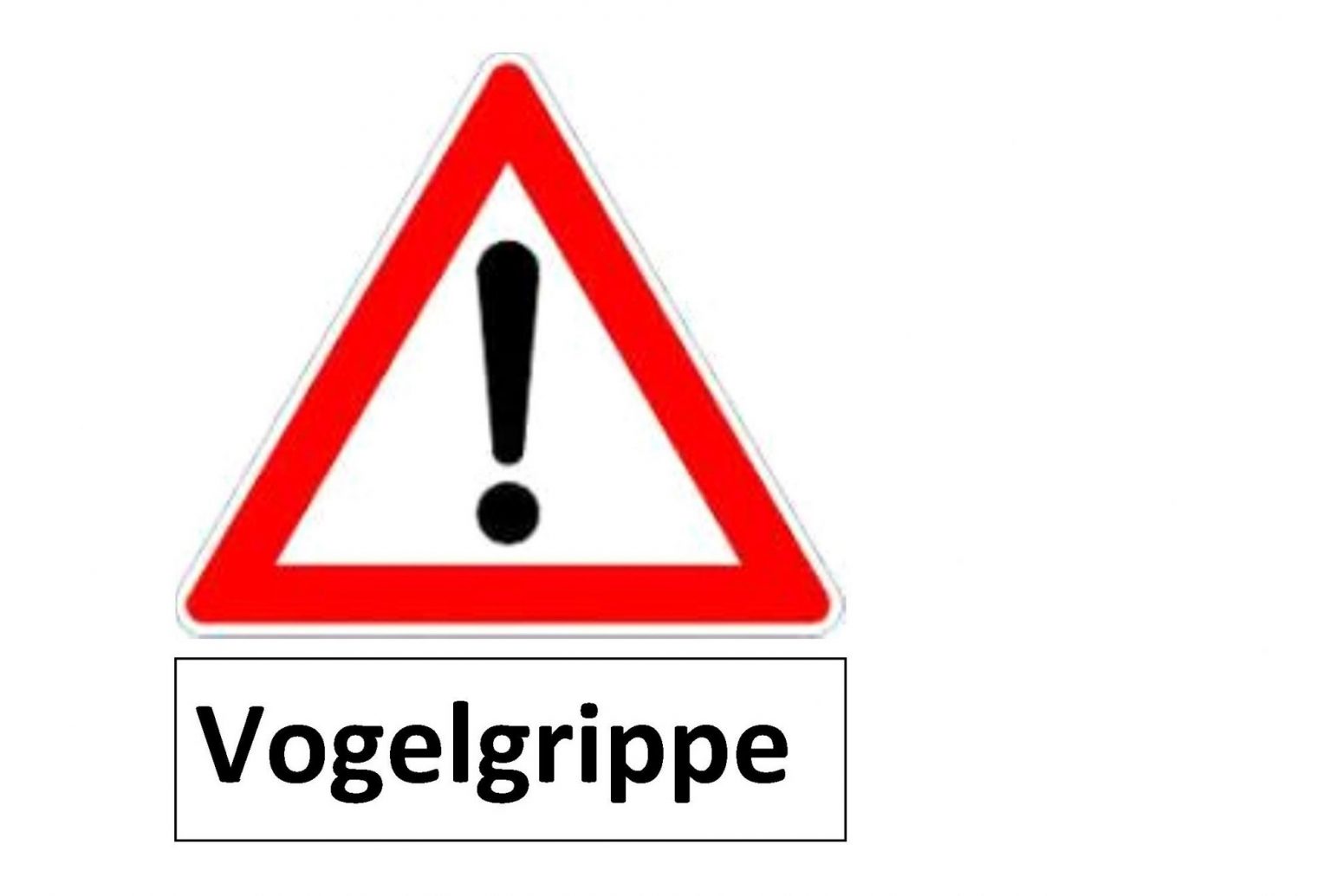 Vogelgrippe Erster bestätigter Fall bei Nutzbestand im Landkreis Spree